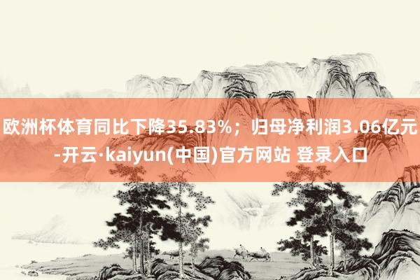 欧洲杯体育同比下降35.83%；归母净利润3.06亿元-开云·kaiyun(中国)官方网站 登录入口