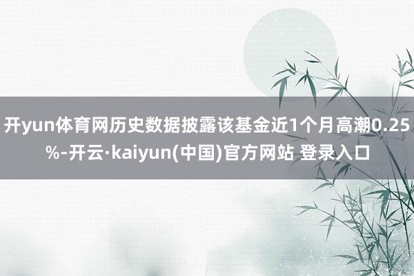 开yun体育网历史数据披露该基金近1个月高潮0.25%-开云·kaiyun(中国)官方网站 登录入口