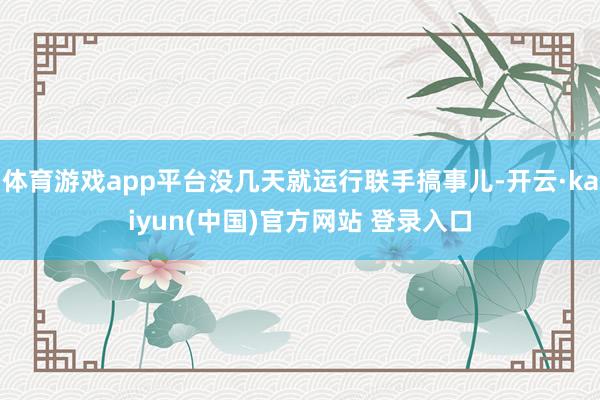 体育游戏app平台没几天就运行联手搞事儿-开云·kaiyun(中国)官方网站 登录入口