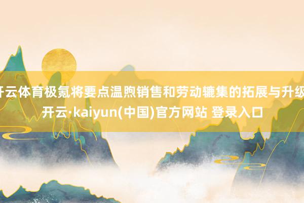 开云体育极氪将要点温煦销售和劳动辘集的拓展与升级-开云·kaiyun(中国)官方网站 登录入口
