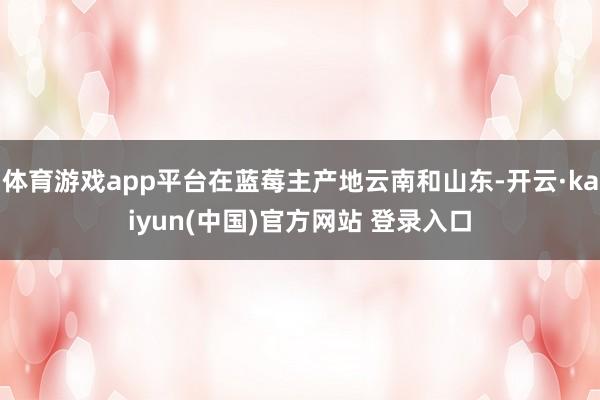 体育游戏app平台在蓝莓主产地云南和山东-开云·kaiyun(中国)官方网站 登录入口