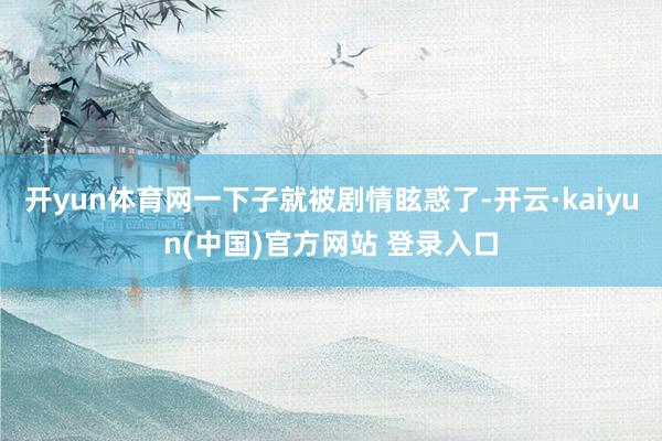 开yun体育网一下子就被剧情眩惑了-开云·kaiyun(中国)官方网站 登录入口