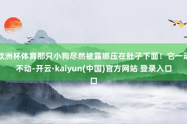 欧洲杯体育那只小狗尽然被露娜压在肚子下面!它一动不动-开云·kaiyun(中国)官方网站 登录入口