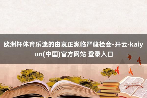欧洲杯体育乐迷的由衷正濒临严峻检会-开云·kaiyun(中国)官方网站 登录入口