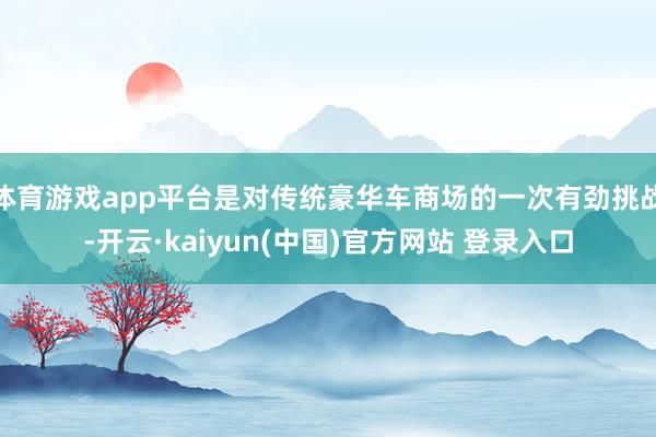 体育游戏app平台是对传统豪华车商场的一次有劲挑战-开云·kaiyun(中国)官方网站 登录入口