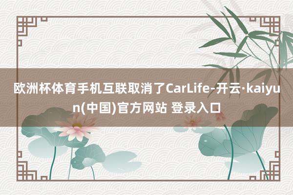 欧洲杯体育手机互联取消了CarLife-开云·kaiyun(中国)官方网站 登录入口