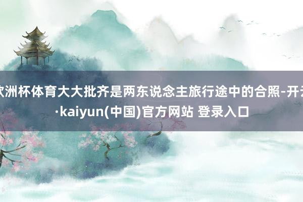 欧洲杯体育大大批齐是两东说念主旅行途中的合照-开云·kaiyun(中国)官方网站 登录入口