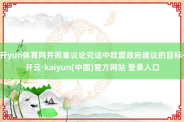 开yun体育网并照章议论究诘中欧盟政府建议的目标-开云·kaiyun(中国)官方网站 登录入口