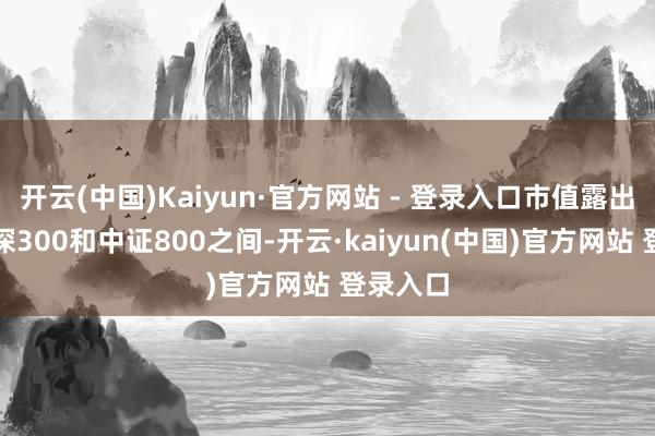 开云(中国)Kaiyun·官方网站 - 登录入口市值露出介于沪深300和中证800之间-开云·kaiyun(中国)官方网站 登录入口