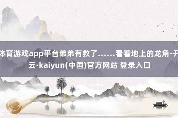 体育游戏app平台弟弟有救了……看着地上的龙角-开云·kaiyun(中国)官方网站 登录入口