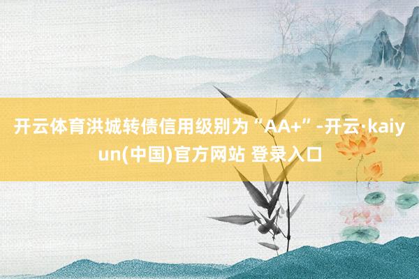 开云体育洪城转债信用级别为“AA+”-开云·kaiyun(中国)官方网站 登录入口