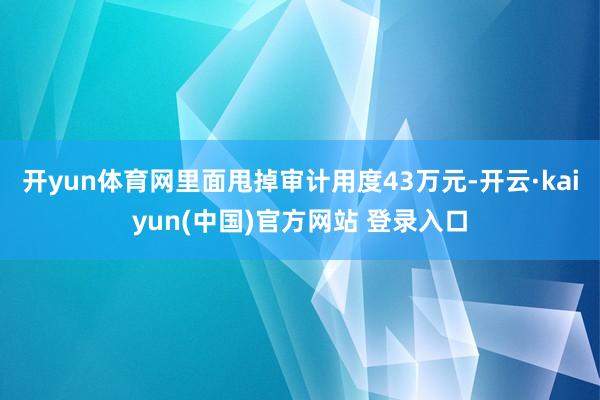 开yun体育网里面甩掉审计用度43万元-开云·kaiyun(中国)官方网站 登录入口