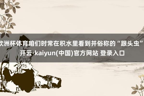 欧洲杯体育咱们时常在积水里看到并俗称的“跟头虫”-开云·kaiyun(中国)官方网站 登录入口