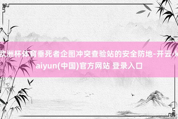 欧洲杯体育垂死者企图冲突查验站的安全防地-开云·kaiyun(中国)官方网站 登录入口