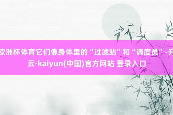 欧洲杯体育它们像身体里的“过滤站”和“调度员”-开云·kaiyun(中国)官方网站 登录入口