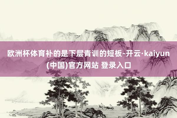 欧洲杯体育补的是下层青训的短板-开云·kaiyun(中国)官方网站 登录入口